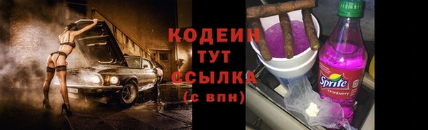 дмт Абаза