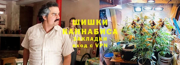 дмт Абаза