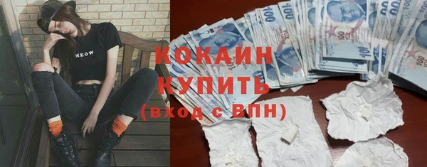 дмт Абаза